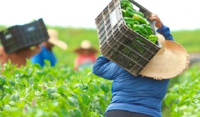 Sinop modernizar� atividades produtivas com mais de 10 maquin�rios