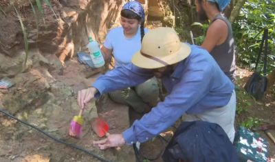 F�sseis de tartaruga de 80 milh�es de anos s�o achados em s�tio paleontol�gico de Pirapozinho