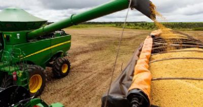 STF mant�m lei de MT que corta benef�cios de empresas que aderem � Morat�ria da Soja