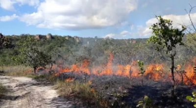 Mato Grosso � o estado com mais focos de calor registrados no pa�s em 2026