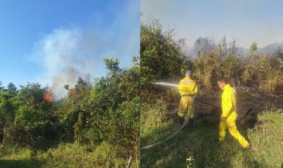 Inc�ndio atinge mais de 3 mil m� de �rea de preserva��o permanente em Martin�polis