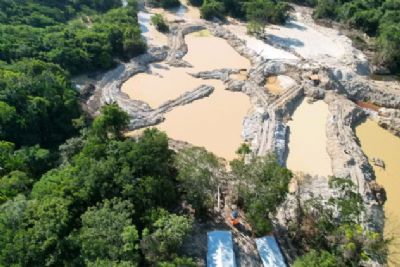 Mais de R$ 6 milh�es em multas s�o aplicados por crimes ambientais em 10 dias em MT