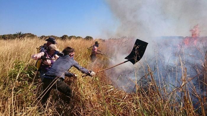Estado e munic�pios identificam 57 ocorr�ncias de inc�ndios florestais