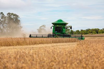Mato Grosso produz 32% de soja a mais que a Argentina