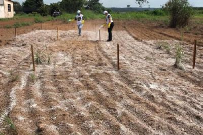SENAR-MT realiza, em Parceria com a Prefeitura de Confresa, curso de Viveirista em Fruticultura