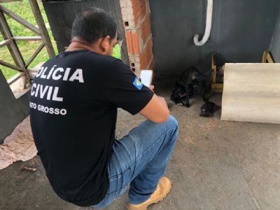 ​Dema apura den�ncias de maus-tratos a animais em Cuiab� e V�rzea Grande