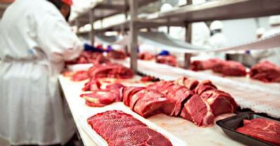Para entender o aumento do pre�o da carne bovina