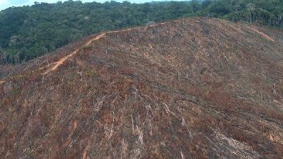 Press�o do agroneg�cio e rea��o internacional fazem governo rever atitude sobre desmatamento