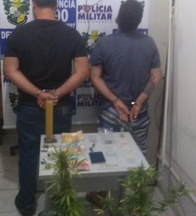 Dupla � presa por tr�fico de drogas e plantio de p�s de maconha em quintal