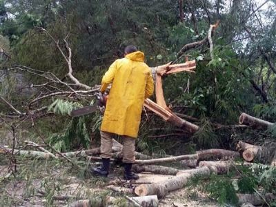Chuva derruba �rvores em rodovia de Mato Grosso e CPTEC emite alerta de tempestade nos pr�ximos dois dias