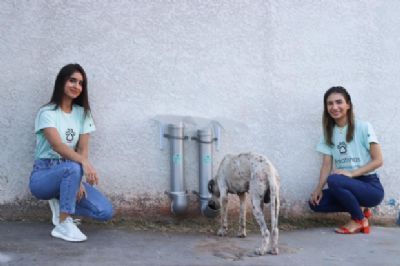 Amigas criam projeto social que d� assist�ncia a animais em situa��o de rua