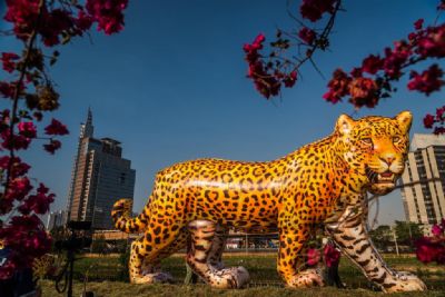 ​Viradinha Sustent�vel ter� esculturas gigantes de on�as-pintadas