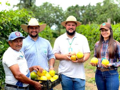 Agricultor familiar produz maracuj� irrigado sob orienta��o dos t�cnicos da Empaer