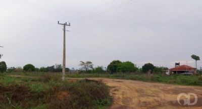 Energisa leva energia el�trica para 207 fam�lias de �rea rural