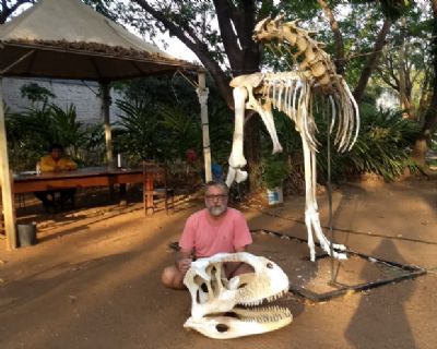 Especialista em anatomia de dinossauros vem a Cuiab� restaurar r�plica e planeja construir nova
