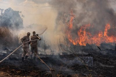 MT vai receber R$ 23,8 milh�es para combater queimadas e desmatamento
