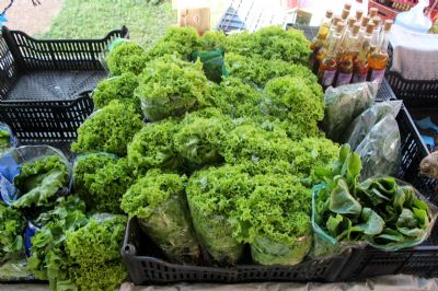 Feira de Agricultura Familiar em V�rzea Grande traz novidade com hortali�as org�nicas certificadas