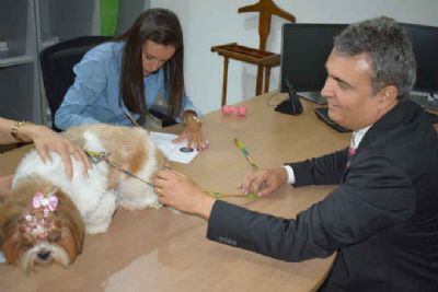 Animais de estima��o podem ser registrados em cart�rios