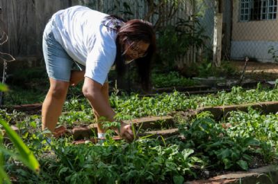 Escola cultiva horta org�nica e produz mais de 10 variedades