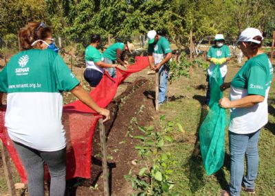 V�rzea Grande sanciona lei que cria programa Horta Solid�ria