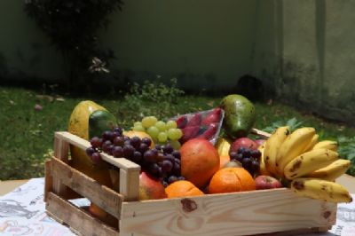 Empresa lan�a primeiro delivery de frutas org�nicas de Cuiab�