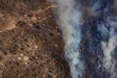 Pantanal teve mais focos de calor em um m�s do que durante todo ano de 2019