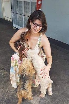 �Pet nenhum � brinquedo�, Ong lamenta casos de devolu��o de c�es e gatos adotados