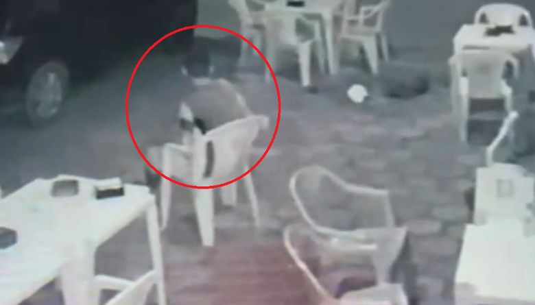 Jovem de 23 anos � esfaqueado durante confus�o em quitinete
