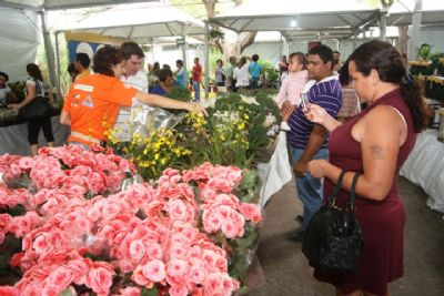 Projeto de lei pro�be em MT agrot�xicos nocivos a abelhas