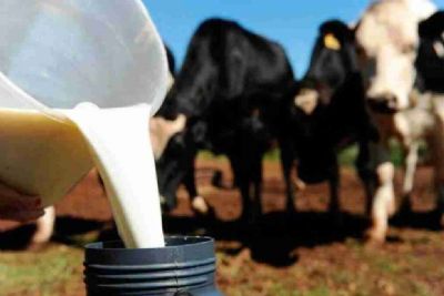 CPI vai apurar tentativa de monop�lio por empresas de latic�nios