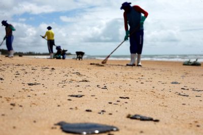 Mais de 525 toneladas de res�duos foram retiradas de praias com �leo