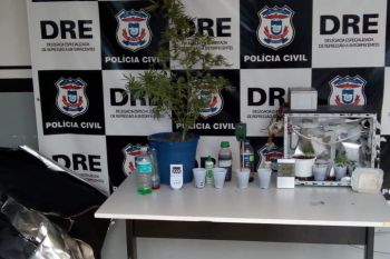 Estufa com planta��o de maconha � apreendida dentro de guarda-roupa de estudante em Cuiab�