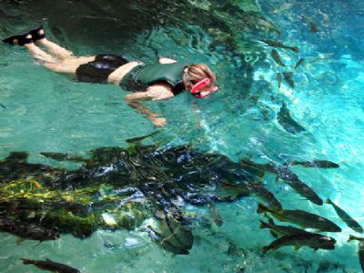 Pocon�, Nobres, Chapada e outras cidades de MT precisam atualizar cadastro no �Mapa do Turismo�