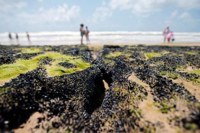 Governo libera R$ 130 milh�es para seguro-defeso a pescadores do NE
