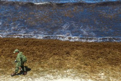�leo continua se espalhando e atinge novas praias de Pernambuco