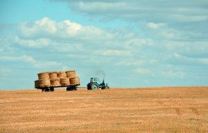WND lan�a rede de IOT para agroneg�cio
