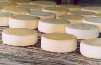 Festival do Queijo destaca for�a da produ��o artesanal de Mato Grosso