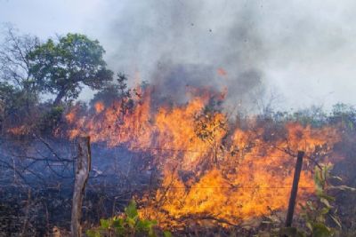 Per�odo proibitivo em MT concentrou oito em cada 10 focos de calor em 2020