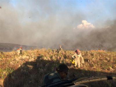Cerca de 400 homens atuam por dia no combate a inc�ndios; investimento de R$ 8,5 milh�es