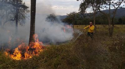 Locais p�blicos poder�o ter cartazes alertando sobre riscos de queimadas em �reas urbanas