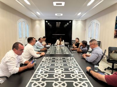 Simona enquadra vereadores para votarem pela cassa��o de prefeito
