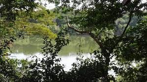 Corpo � encontrado no Rio Cuiab� na manh� desta quinta