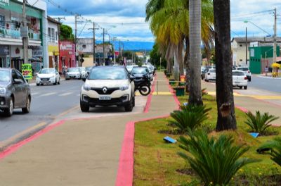Revitaliza��o em primeiro trecho da Av. das Palmeiras � conclu�da