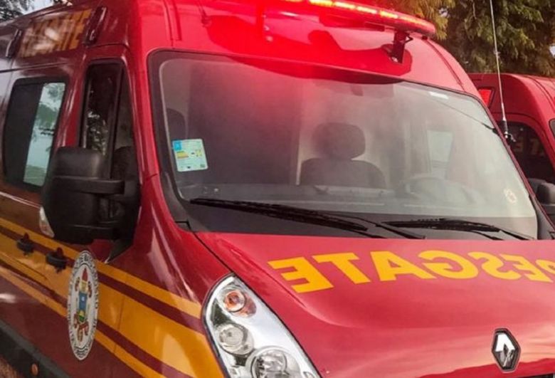 Abelhas ferem jovem, crian�a de 2 anos e matam cachorro