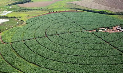 IBGE: previs�o da safra 2021 � de 263,1 milh�es de toneladas