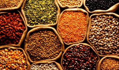 Governo anuncia regras para facilitar produ��o e com�rcio de sementes