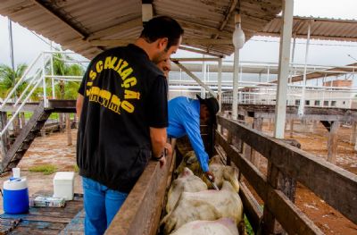Grupo gestor realiza primeira reuni�o para discutir retirada da vacina��o em MT
