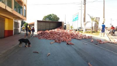 Caminh�o carregado de ossos de animais tomba