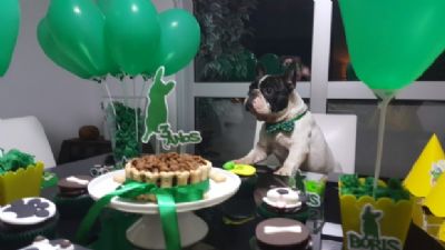 Ap�s ser pedida em casamento, mineira muda para MT e cria buffet de comida natural para pets