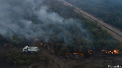 Origem das queimadas pode estar ligada � 